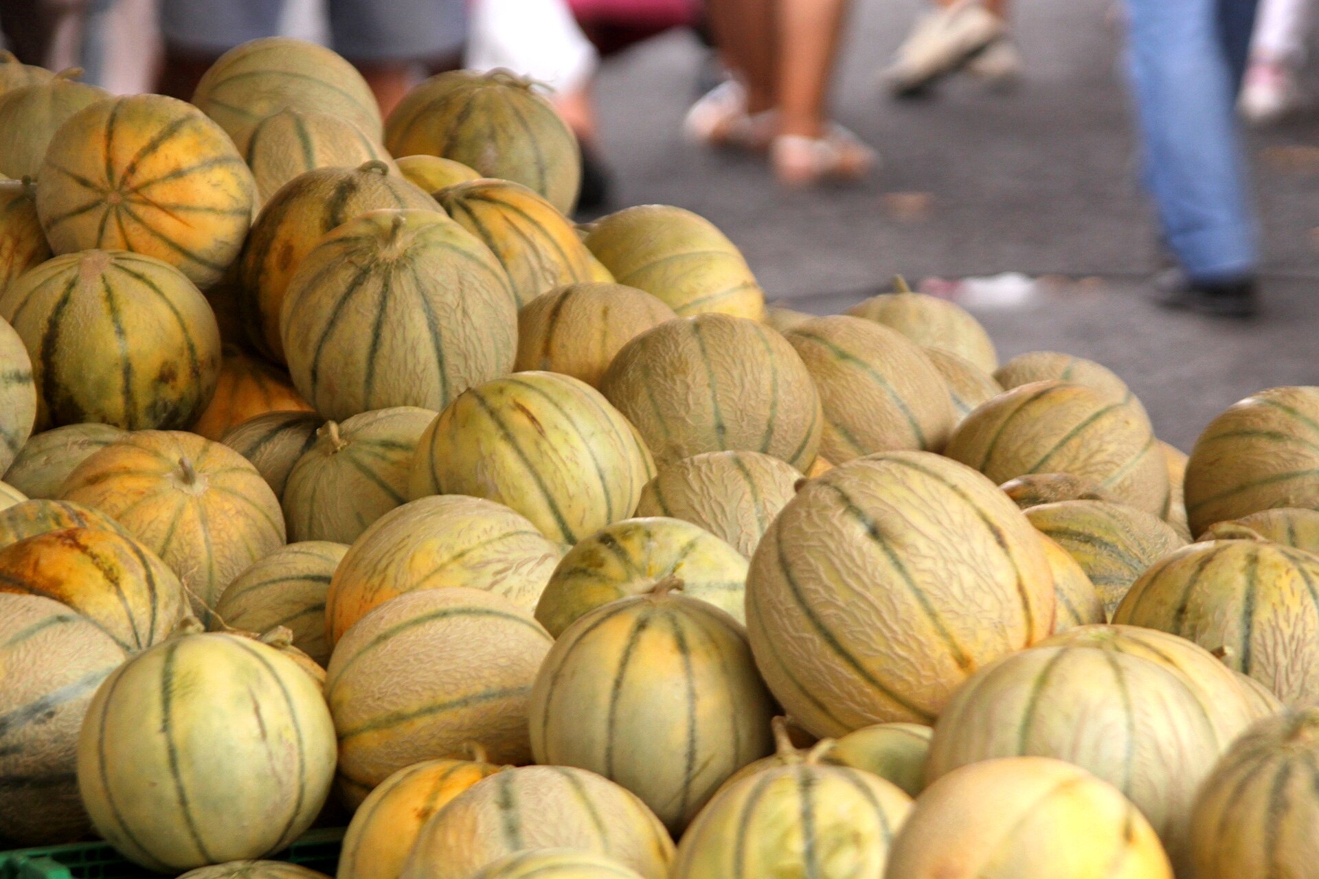 L'étal du stand : cagettes de melons à la lumière du matin